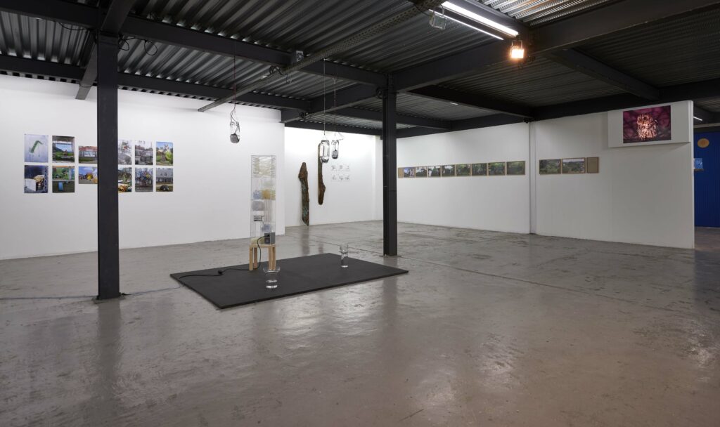 LC-2021-Beyond concrete jungle - 01