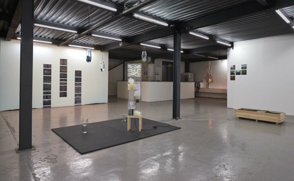 LC-2021-Beyond concrete jungle - 04