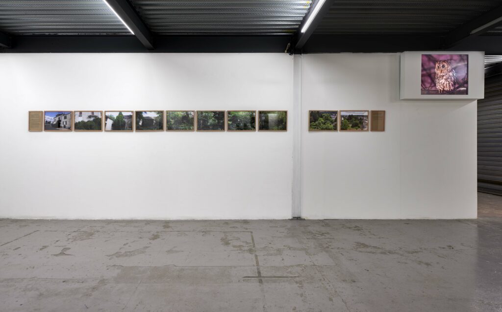 LC-2021-Beyond concrete jungle - 05