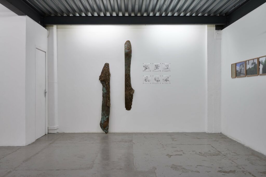 LC-2021-Beyond concrete jungle - 06