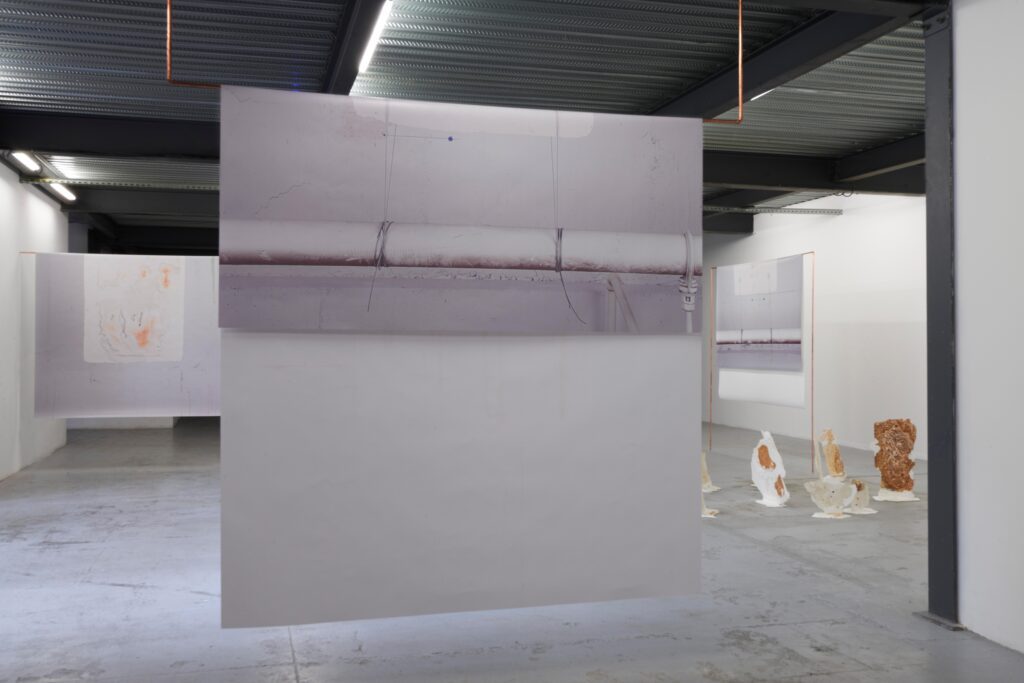 ©DamienAspe_Belvedere 03