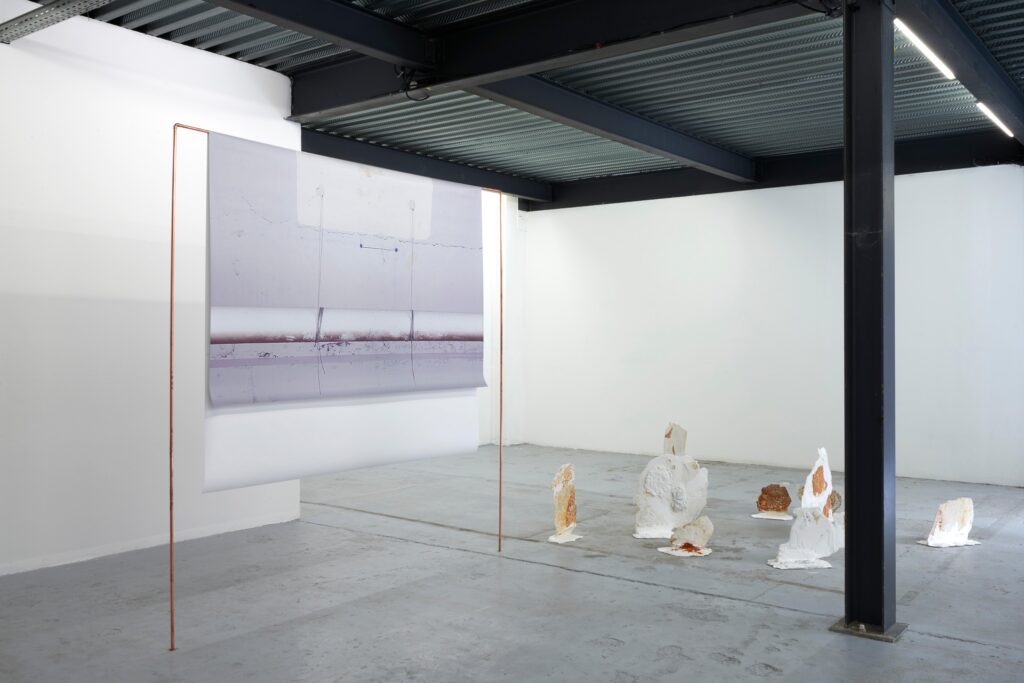 ©DamienAspe_Belvedere 06