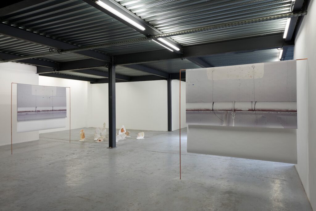 ©DamienAspe_Belvedere 08