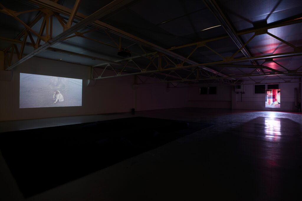 ©DamienAspe_Belvedere 13