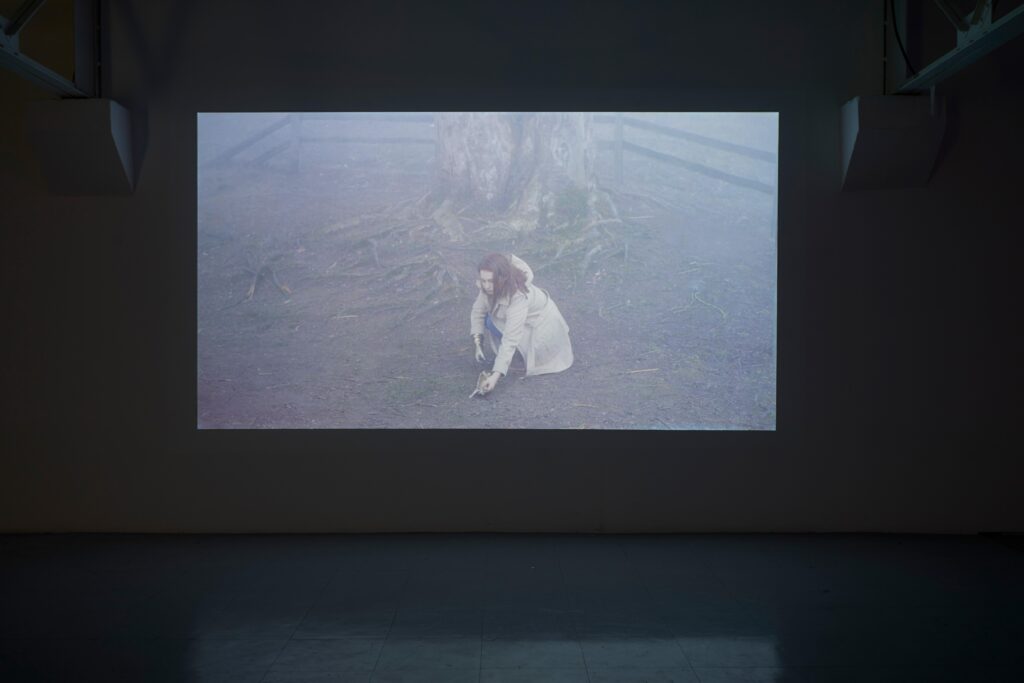 ©DamienAspe_Belvedere 15