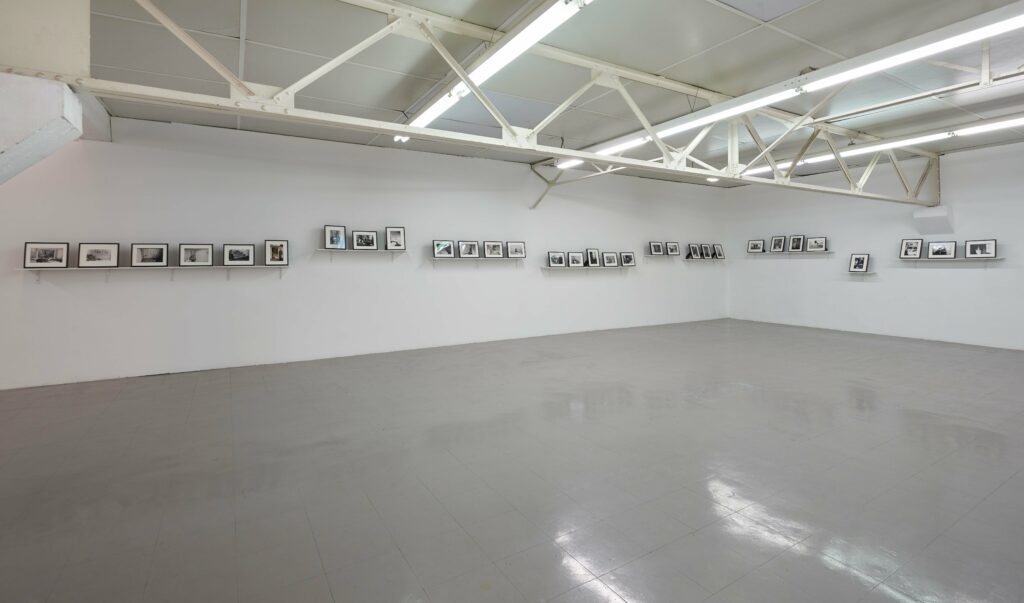 L.C_P.P is not dead_2019-28