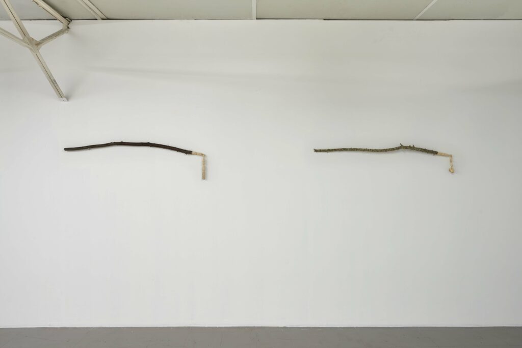 LC-2023-Les Marion(s) - 33