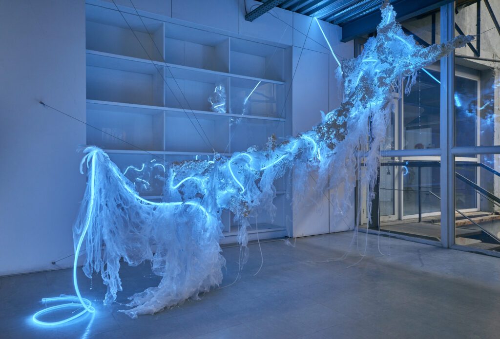 LC-2024-Avant-la-Fame---30