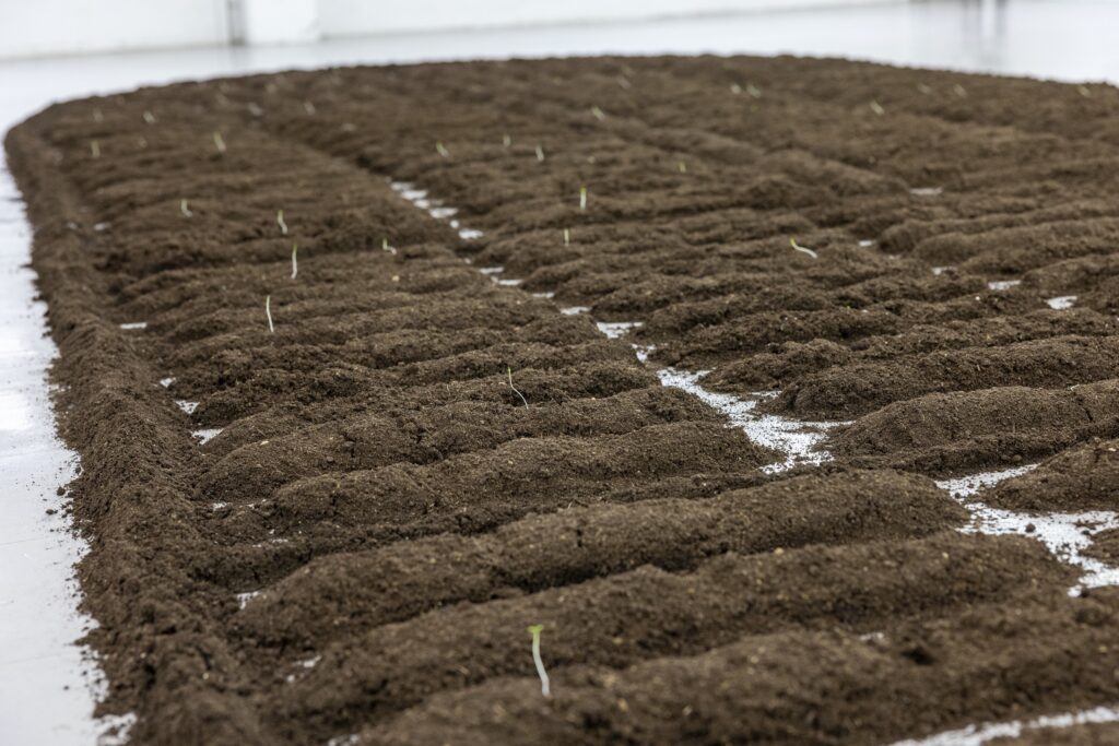 Faire Famille à Lieu-Commun. Commissariat : Yandé Diouf. Avec Binta Dias, Marie-Claire Messouma Manlanbien, Roméo Mivekannin. Pour sa nouvelle édition, du 23 mai au 22 juin 2025, le festival Le Nouveau Printemps investit le quartier Saint-Sernin de Tou