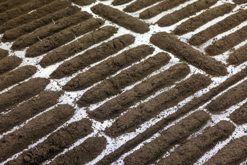 Faire Famille à Lieu-Commun. Commissariat : Yandé Diouf. Avec Binta Dias, Marie-Claire Messouma Manlanbien, Roméo Mivekannin. Pour sa nouvelle édition, du 23 mai au 22 juin 2025, le festival Le Nouveau Printemps investit le quartier Saint-Sernin de Tou