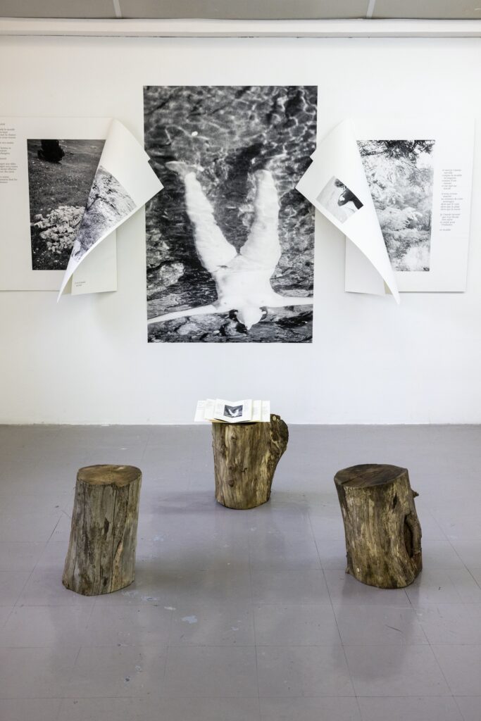 Exposition des artistes diplômé.e.s de l’ISDAT à Lieu-Commun dans le cadre du festival Le Nouveau Printemps. Avec : Milena Meyer, Jean-Michel Poinet, Aria Maillot, Maurane Leder, Lucile Munarriz, Margaux Sahut, Axel Raingeard, Mia FTZ, Morgane Bertran