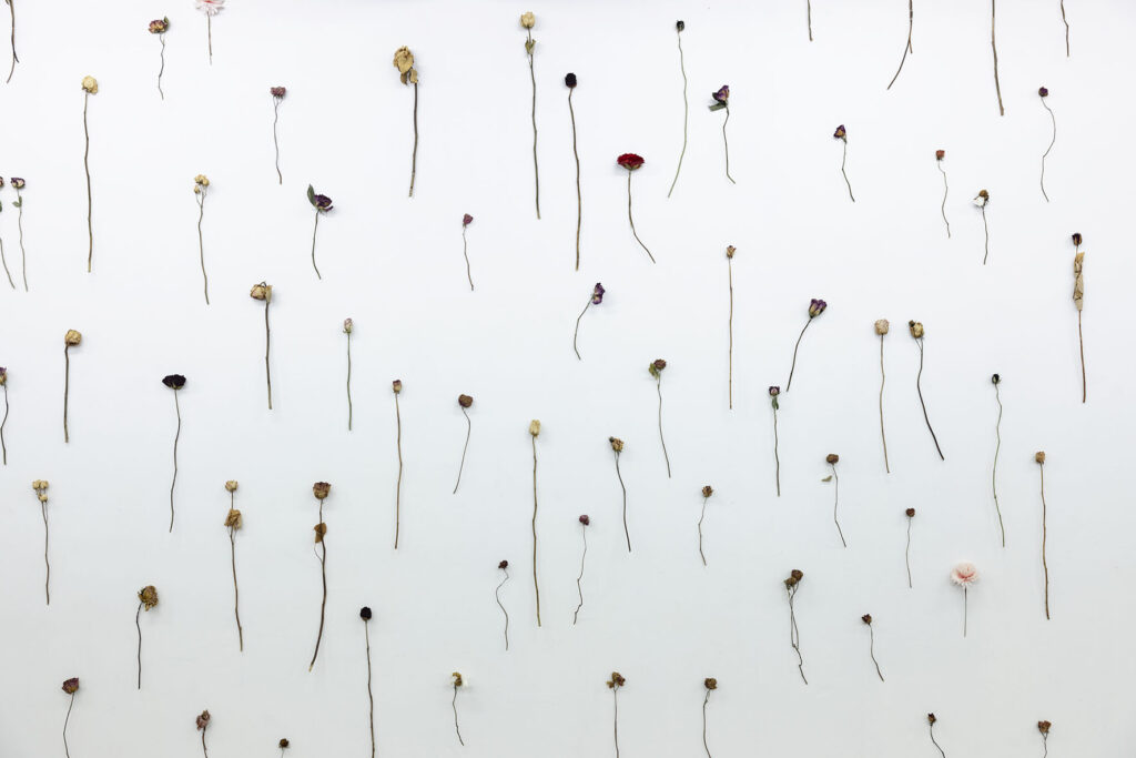 Entre les deux, des chemins. Exposition collective à Lieu-Commun. Air de Midi, réseau art contemporain en Occitanie, Documents d'Artistes Occitanie, Lieu-Commun, artist-run space et Le Nouveau Printemps s'associent pour une exposition inédite. En écho
