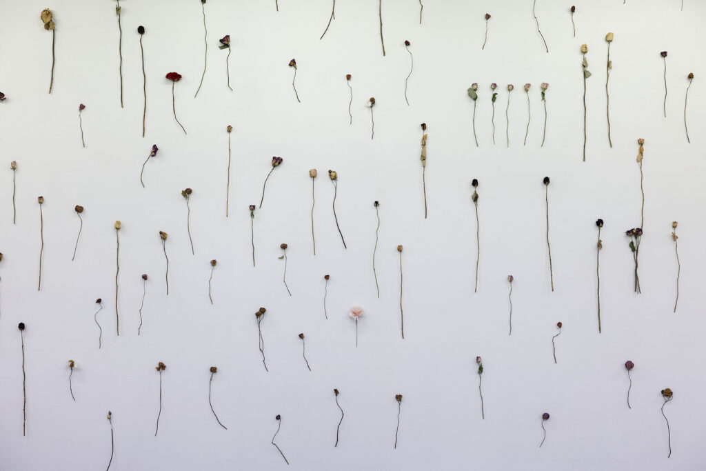 Entre les deux, des chemins. Exposition collective à Lieu-Commun. Air de Midi, réseau art contemporain en Occitanie, Documents d'Artistes Occitanie, Lieu-Commun, artist-run space et Le Nouveau Printemps s'associent pour une exposition inédite. En écho